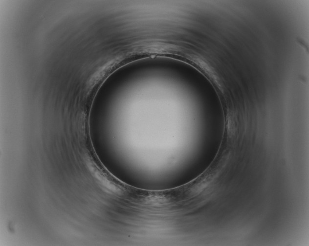 X0000099540445200805161432