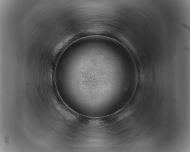 X0000099540446200805161432