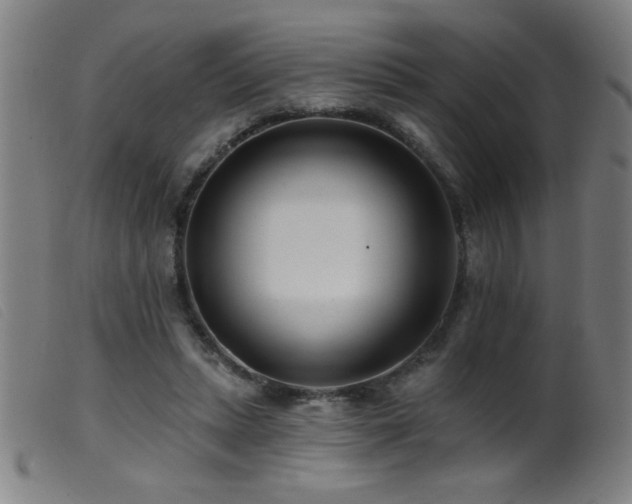 X0000099540447200805161432