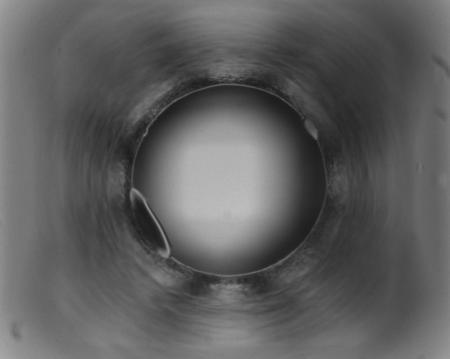 X0000099540448200805161432