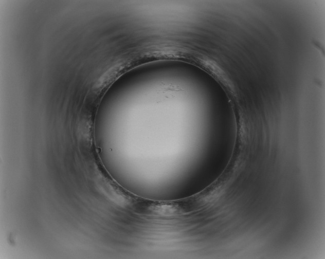 X0000099540449200805161432