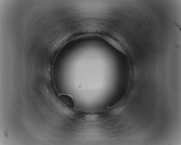 X0000099540450200805161432