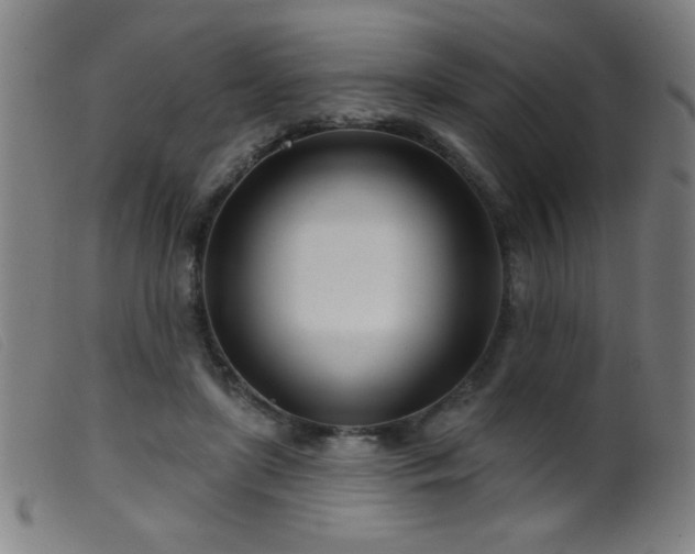 X0000099540451200805161432