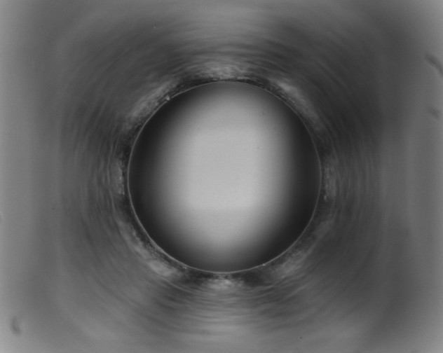 X0000099540453200805161432