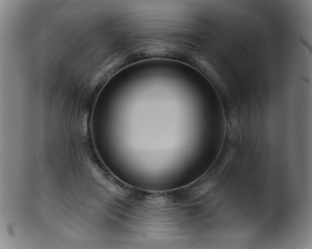 X0000099540454200805161432