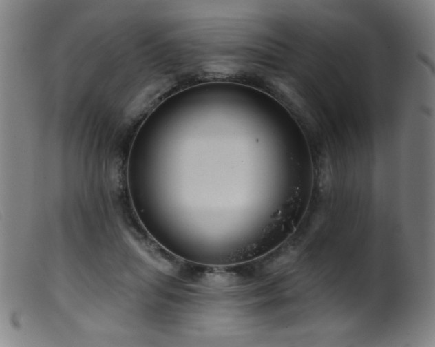 X0000099540455200805161432