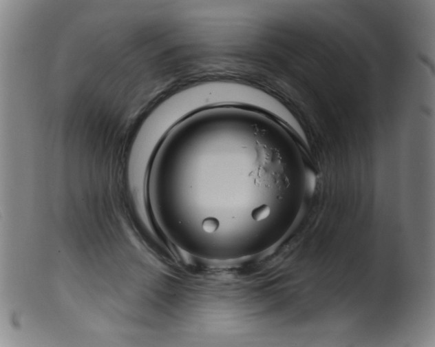 X0000099540456200805161432