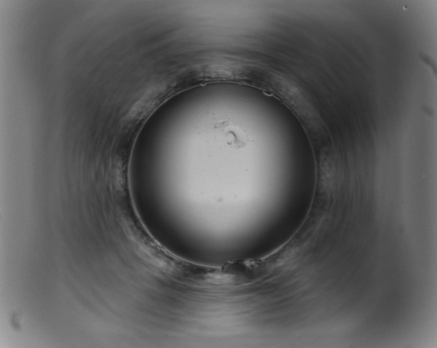 X0000099540457200805161432