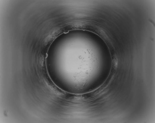 X0000099540458200805161432