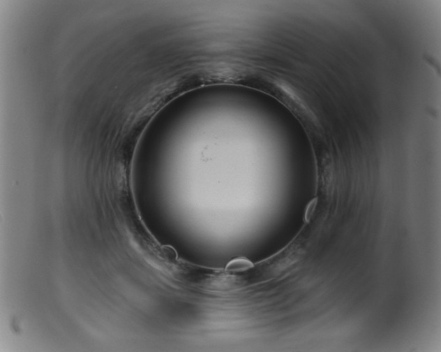 X0000099540459200805161432