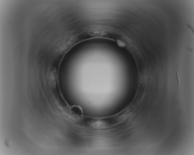 X0000099540460200805161432