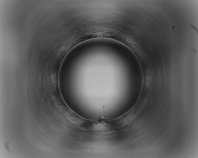 X0000099540461200805161432