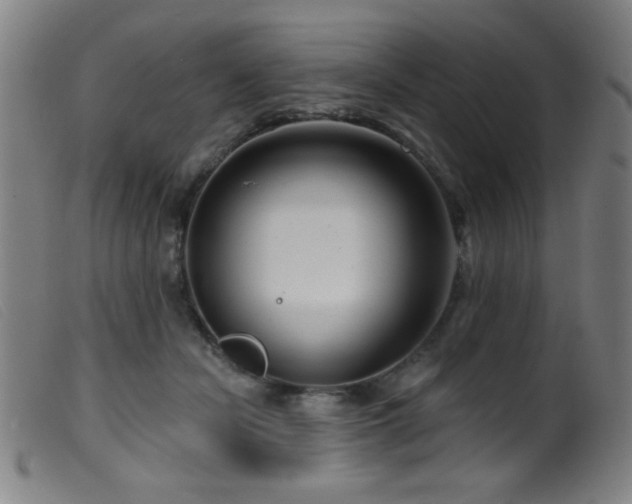 X0000099540462200805161432