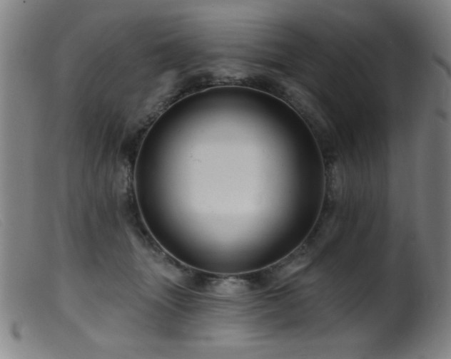 X0000099540463200805161432