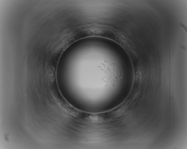 X0000099540464200805161432