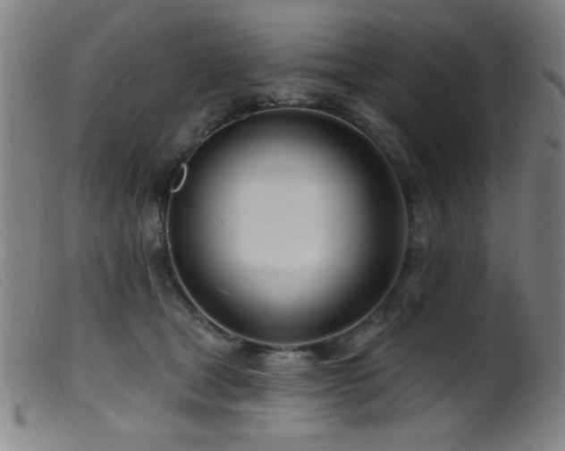 X0000099540465200805161432