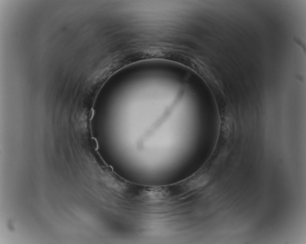 X0000099540466200805161432