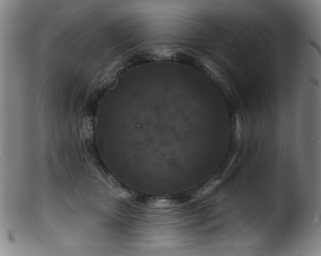 X0000099540467200805161432