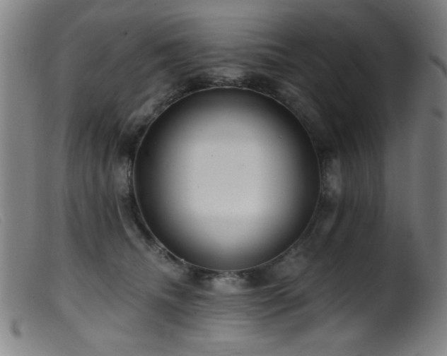 X0000099540468200805161432