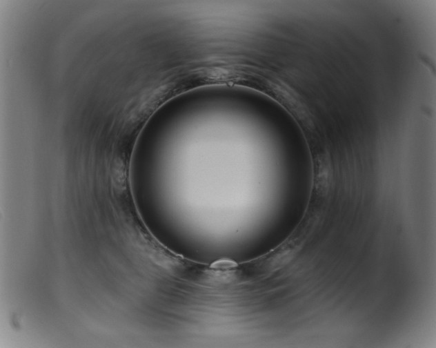 X0000099540469200805161432