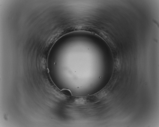 X0000099540470200805161432