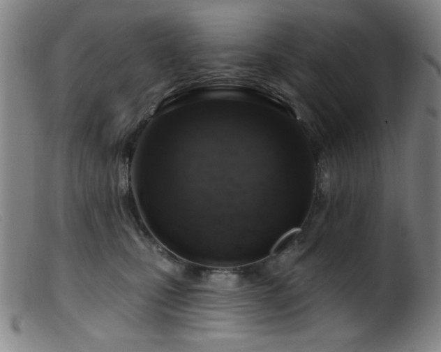 X0000099540471200805161432