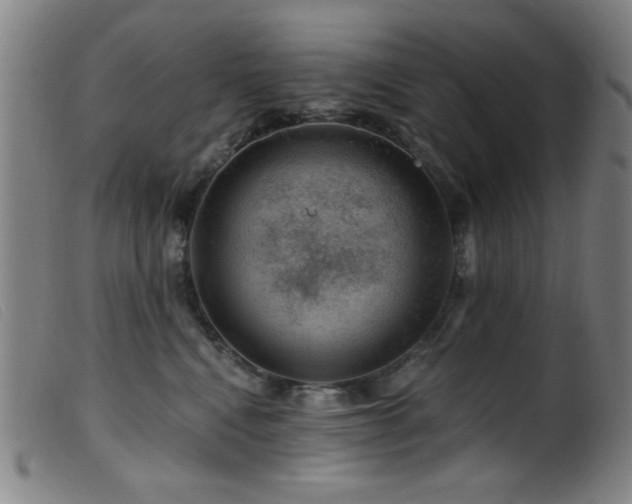 X0000099540472200805161432