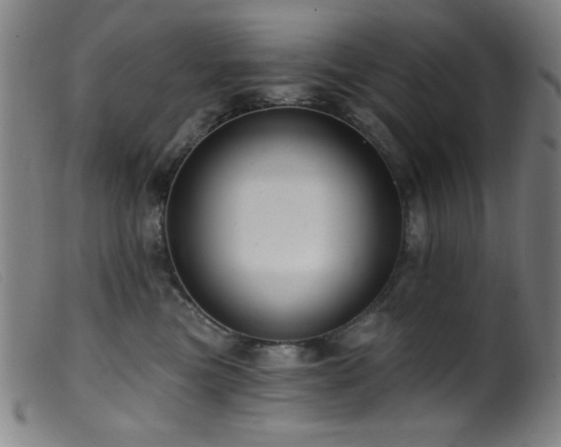 X0000099540473200805161432