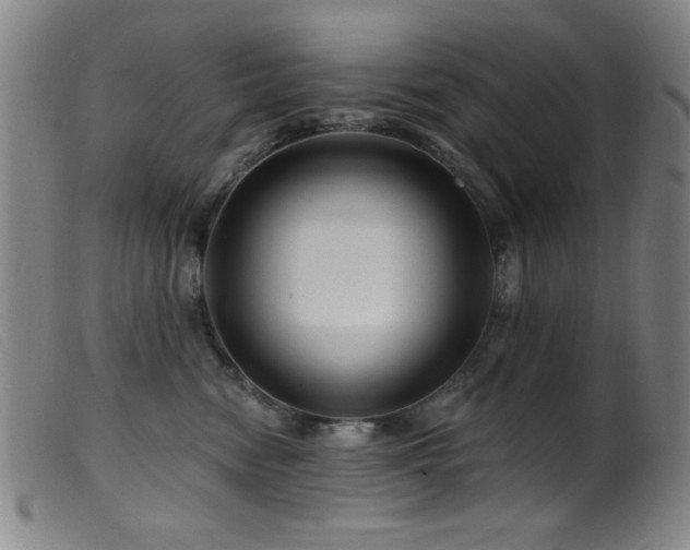 X0000099540474200805161432