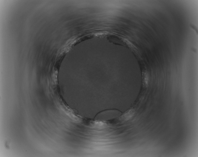 X0000099540475200805161432