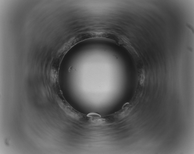 X0000099540476200805161432