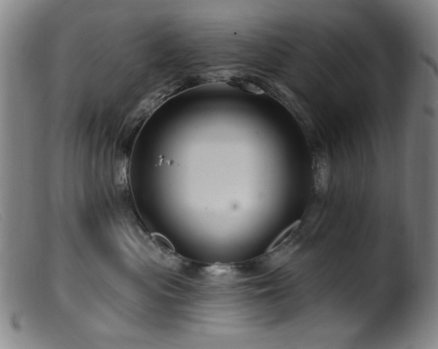 X0000099540477200805161432