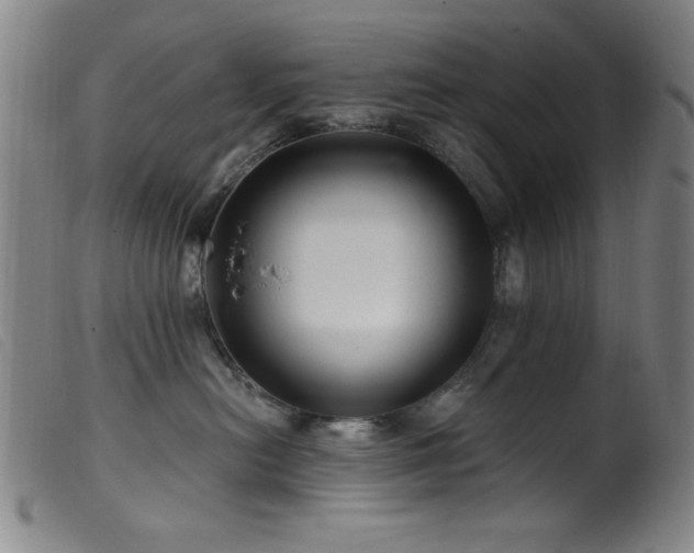 X0000099540478200805161432