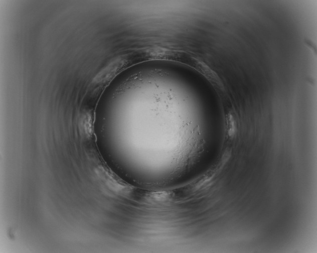 X0000099540479200805161432