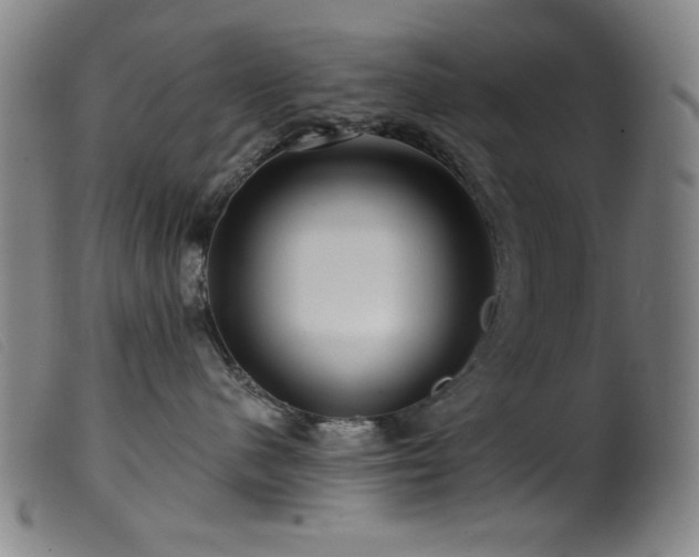 X0000099540480200805161432