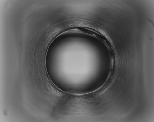 X0000099540481200805161431