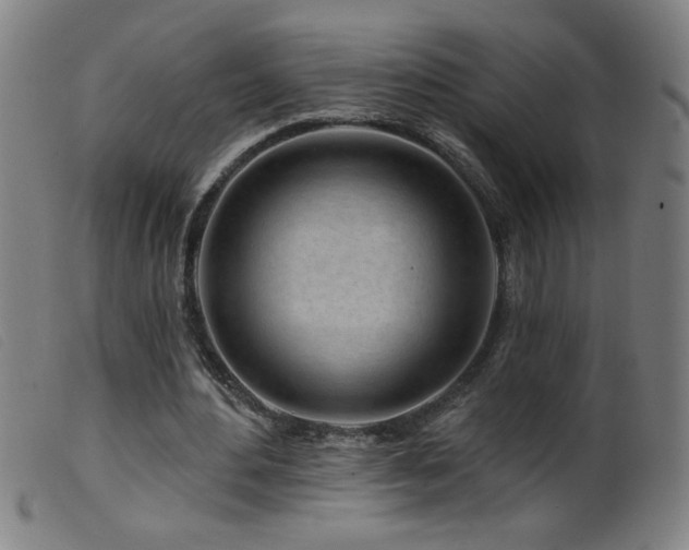 X0000099540484200805161431