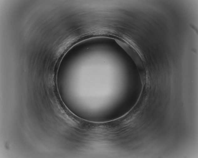 X0000099540485200805161431