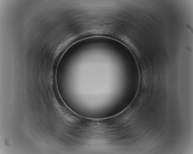 X0000099540486200805161431