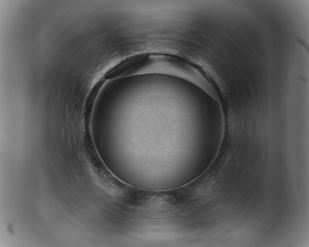 X0000099540488200805161431