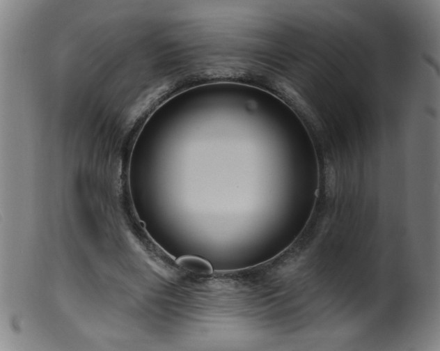 X0000099540490200805161431