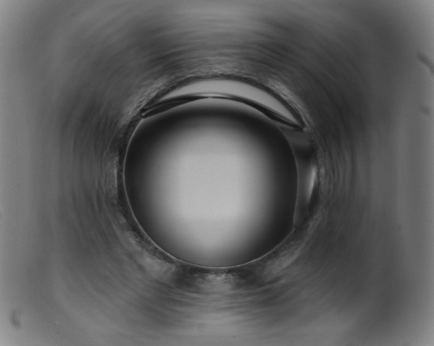 X0000099540493200805161431