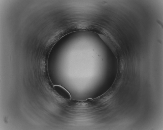 X0000099540497200805161431