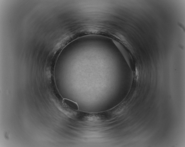 X0000099540500200805161431