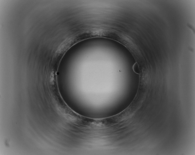 X0000099540502200805161431