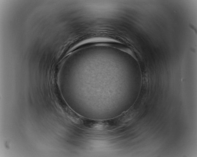 X0000099540504200805161431