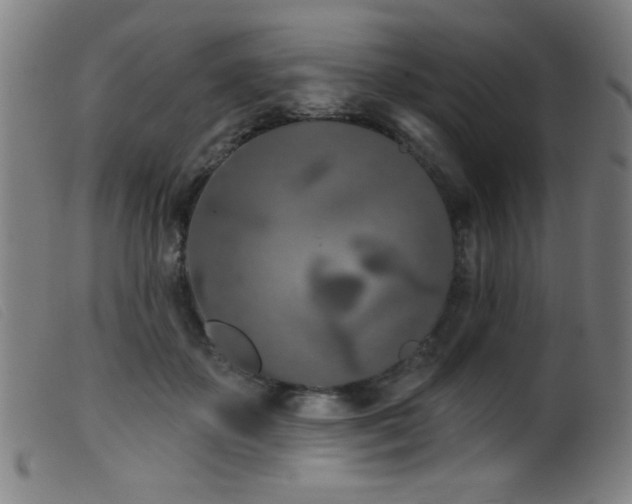 X0000099540507200805161431