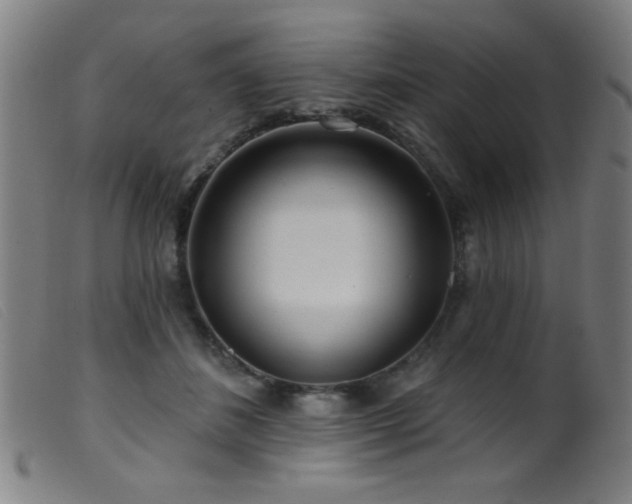 X0000099540508200805161431