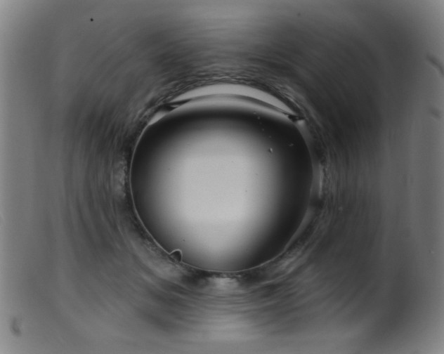 X0000099540509200805161431