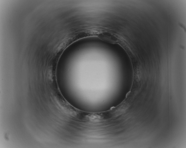 X0000099540512200805161431